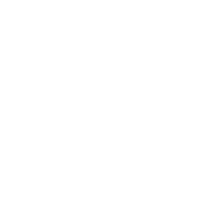 Buffalo_Minnesota Logo icon white-04